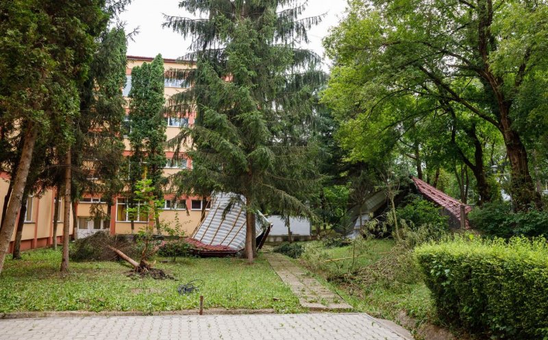 Cei mai mulți arbori doborîţi de furtună, în Gheorgheni, centru, Zorilor, Grigorescu, Mărăști. Majoritatea brazi, vor fi donaţi