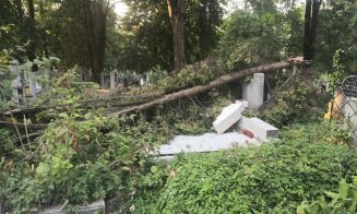 DEZASTRU in cimitirul din centru. Clujean, catre Boc: ''Nu puteti opri furtuni, dar cred ca la atata timp se putea face ordine''