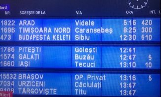 Ministrul Transporturilor vrea ca întârzierile trenurilor să nu fie mai mari de 40 de minute / Mangalia-Arad a avut o întârziere de 10 ore