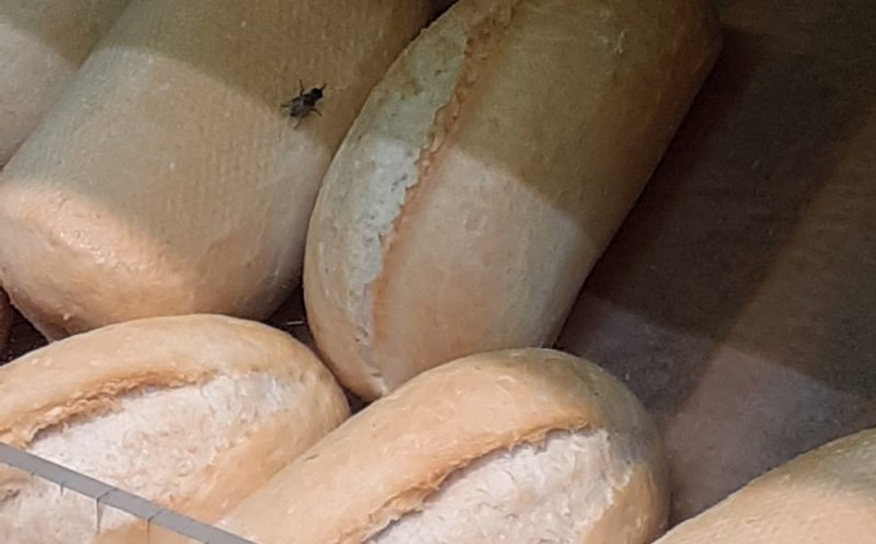 Pâine cu muşte pe rafturile unui hypermarket din Cluj