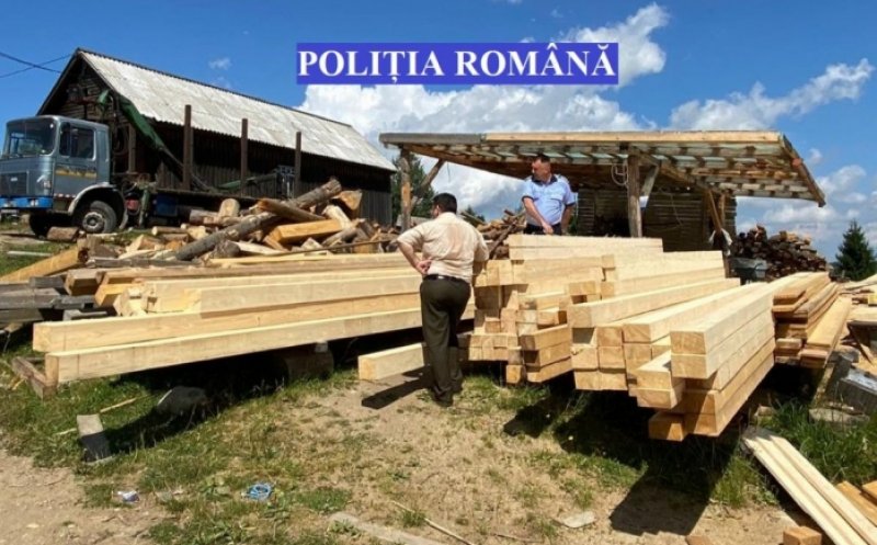 Dosar penal pentru  o firmă de exploatare forestieră din Cluj
