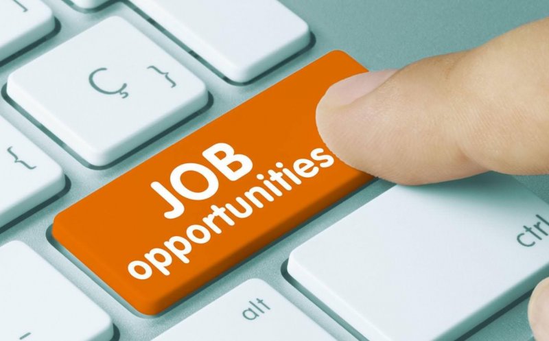 Numărul locurilor de muncă vacante a crescut la 39.500. Ce joburi se caută