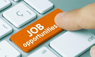 Numărul locurilor de muncă vacante a crescut la 39.500. Ce joburi se caută