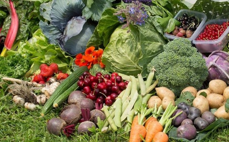 Comerțul fără intermediari, direct din fermă, legalizat în România prin OUG