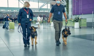 Bode: ''Câini dresaţi pentru depistarea persoanelor cu COVID-19 pe Aeroportul Cluj''