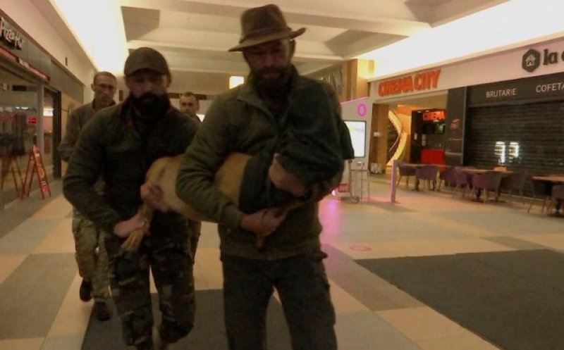 Căprioara blocată de mai bine de 2 săptămâni pe terenul de lângă Vivo, prinsă după ce a intrat în mall