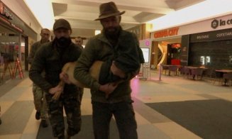 Căprioara blocată de mai bine de 2 săptămâni pe terenul de lângă Vivo, prinsă după ce a intrat în mall