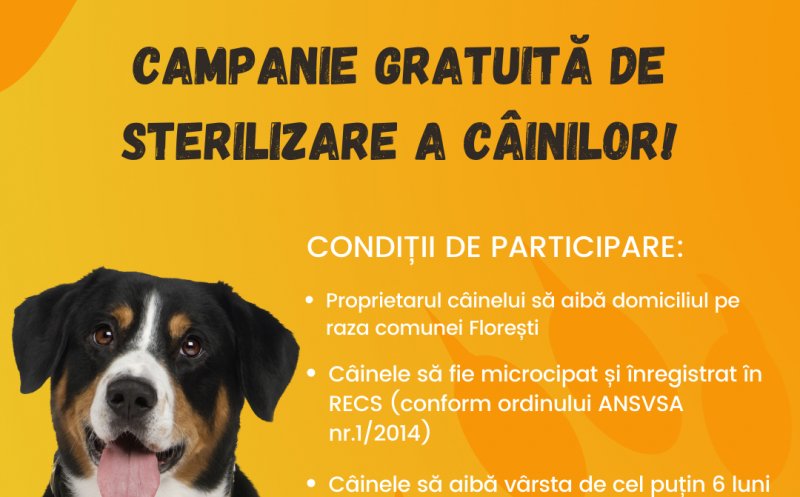 Campanie de sterilizare a câinilor din Florești. Bogdan Pivariu: „Ne dorim combaterea fenomenului de abandon”
