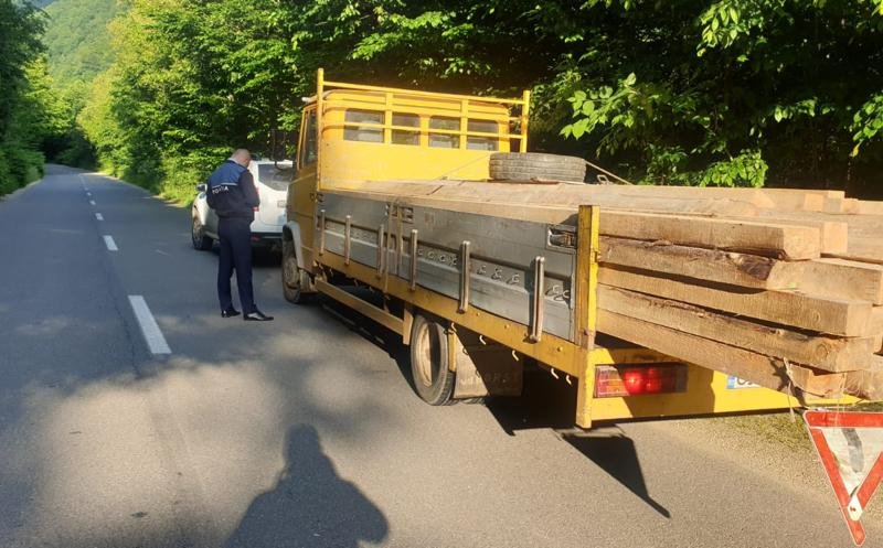 Amenzi de 10.000 de lei în doar două zile pentru lemne tăiate ilegal