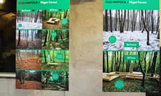 Amenajarea pădurii-parc Făget, lăudată în Slovenia