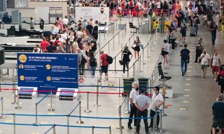 Câini dresați să depisteze infecția cu COVID, pe Aeroportul din Cluj