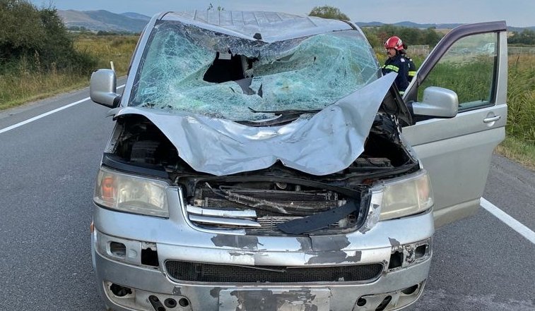 A fost accidentat mortal un cal care circula pe şoseaua naţională, la intrare în Huedin