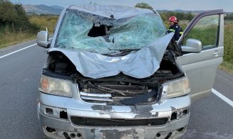 A fost accidentat mortal un cal care circula pe şoseaua naţională, la intrare în Huedin