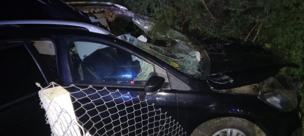 ACCIDENT la Cluj: O şoferiţă începătoare a fost descarcerată după ce a lovit în plin un cal
