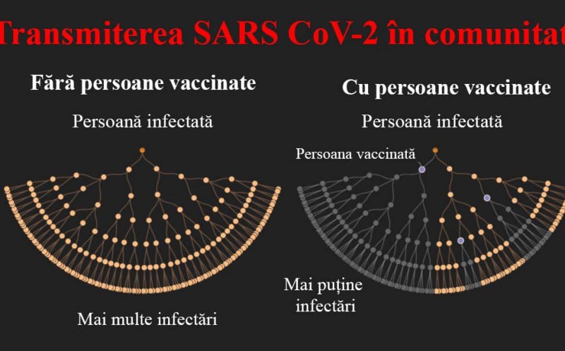 Cum se răspândește virusul în cazul persoanelor vaccinate și a celor nevaccinate