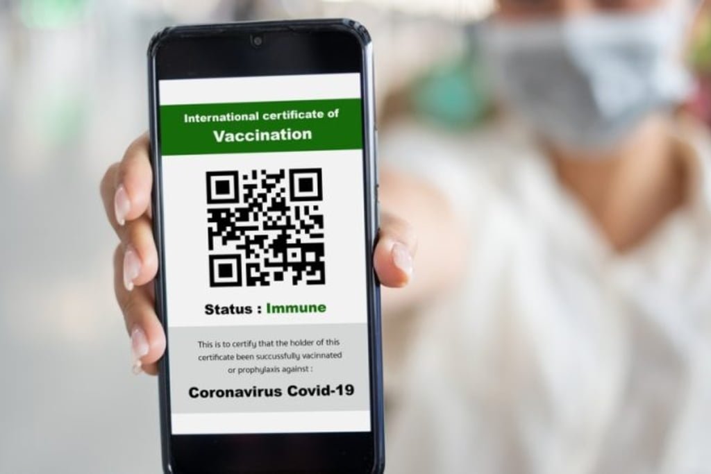 Europol: Certificatele COVID nu pot fi verificate de poliţişti