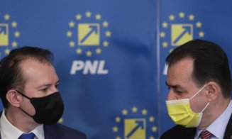 Liberalii îşi aleg preşedintele. Ludovic Orban versus Florin Cîţu