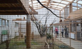 Scandal la mini gradina zoologică din Cluj-Napoca: două vizitatoare au găsit un animăluţ mort în cuşcă