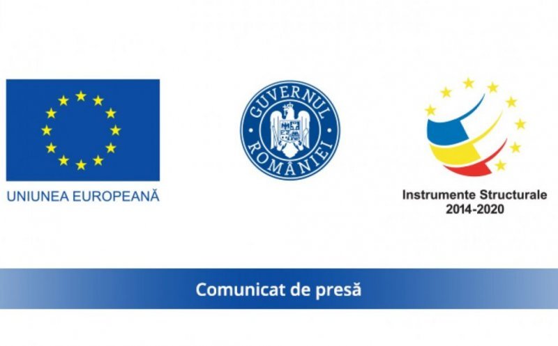 Comunicat de presă privind finalizarea implementării proiectului de grant pentru capital de lucru de către SC NĂSTURELUL VESEL SRL