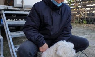 A reînceput campania de sterilizare gratuită a câinilor din Florești! Primarul Pivariu vrea combaterea fenomenului de abandon