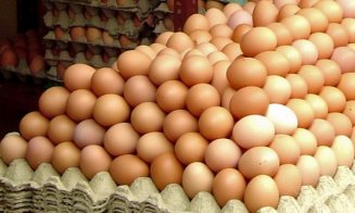 Sute de mii de ouă cu origine falsificată au fost vândute în România