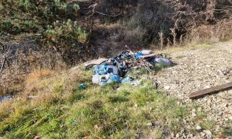 Cluj: Mormane de gunoaie aruncate pe domeniul public / Cum va fi prins făptașul