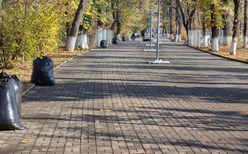 Salubrizare la Turda! Curățenie în parcurile, aleile și zonele verzi din oraș