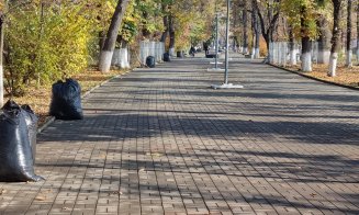 Salubrizare la Turda! Curățenie în parcurile, aleile și zonele verzi din oraș