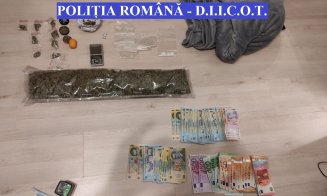 Percheziţii la traficanți de cannabis în Cluj. Zeci de persoane interogate și două reținute