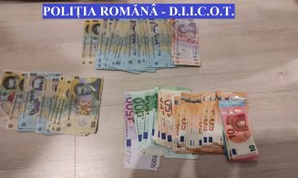 Percheziţii la traficanți de cannabis în Cluj. Zeci de persoane interogate și două reținute