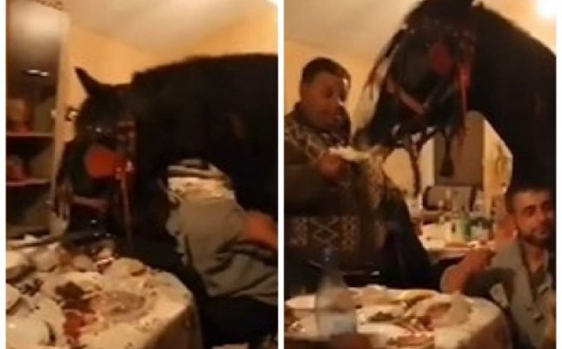 Un cal „participat” la o petrecere în casă. Polițiștii au dat 8 amenzi după ce au văzut imaginile pe Facebook