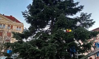 Clujul se pregătește de Crăciun.  A fost instalat Bradul in Piața Unirii