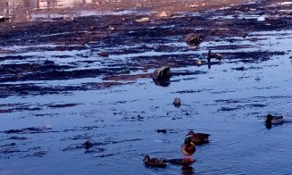 Ce gunoaie mai zac pe fundul apei. Peisaj dezolant la Cluj-Napoca pe promenada Someşului