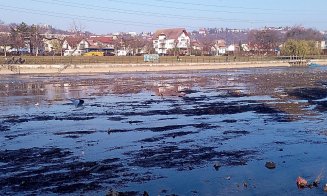 Ce gunoaie mai zac pe fundul apei. Peisaj dezolant la Cluj-Napoca pe promenada Someşului