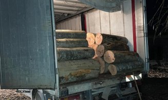 Camion plin cu butuci fără acte, tras pe dreapta de polițiști pe un drum din Cluj