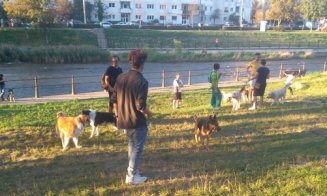 Petiție împotriva desființării locului pentru plimbat câini de pe malul Someșului. Sute de semnături în doar câteva zile