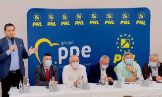 Un lider al PNL Cluj explică alianța cu PSD: „Spectrul alegerilor anticipate era extrem de aproape”