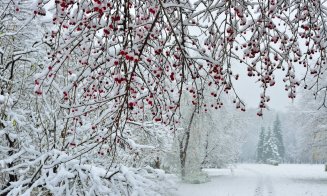 Prognoza pe decembrie. Cum va fi vremea de Crăciun