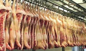 80% din carnea de porc din România va proveni din import. Care este cauza