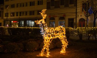 S-au aprins luminițele festive la Cluj! Vezi cum arată orașul în haine de sărbătoare