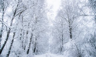 Imagini de vis! Un fotograf clujean a surprins cu drona prima zăpadă din pădurea Făget