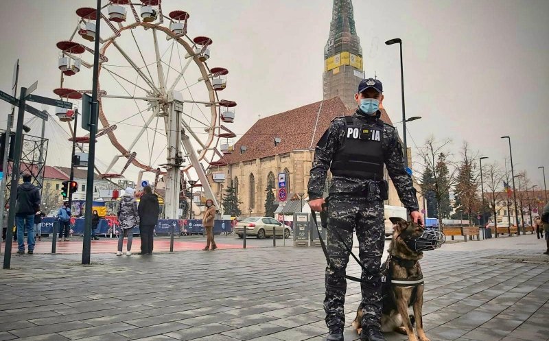Faceți cunoștință cu Noua: este cea mai nouă membră a echipajului canin din Poliția Cluj