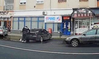 Un clujean și-a aruncat câinele din BMW părăsind-ul în stradă. L-a scos din sac și a plecat fără remușcări