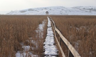 Stufărișul de la Sic, un paradis la doar 60 km de Cluj