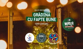 Târg caritabil la Cluj-Napoca, înainte de Crăciun. Se strâng jucării și bani pentru copiii bolnavi