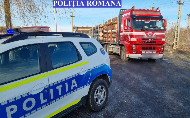 Bușteni fără acte, confiscați de poliţişti în Valea Drăganului