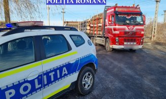 Bușteni fără acte, confiscați de poliţişti în Valea Drăganului