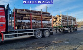 Bușteni fără acte, confiscați de poliţişti în Valea Drăganului