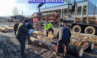 Bușteni fără acte, confiscați de poliţişti în Valea Drăganului