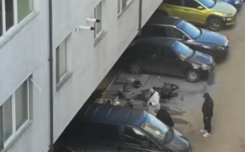 La "bojotaia" porcului în parcarea blocului. L-au pârlit chiar între mașini